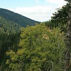 Kniebis 2009 Bild 30